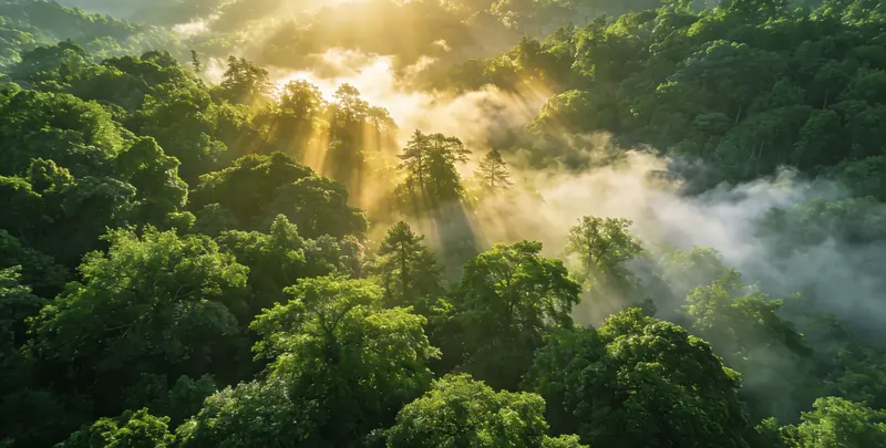 宁波肺癌11基因检测组织版图片1